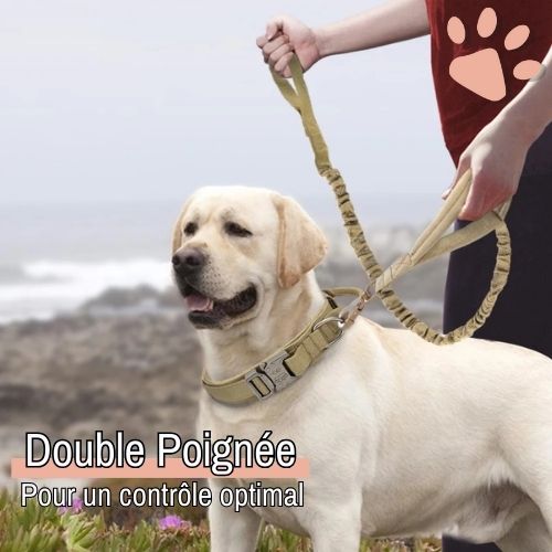 Laisse tactique pour chien style militaire la niche de jules jujutactikLeash double poignée
