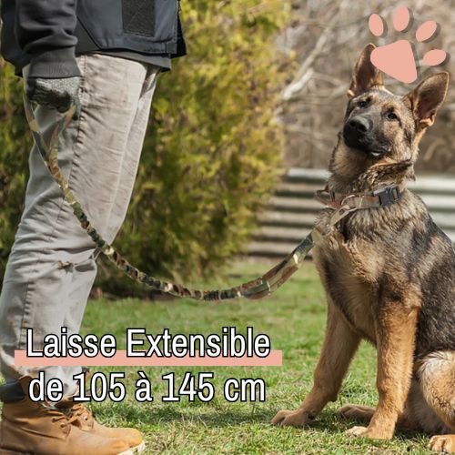 Laisse tactique pour chien style militaire la niche de jules jujutactikLeash extensible