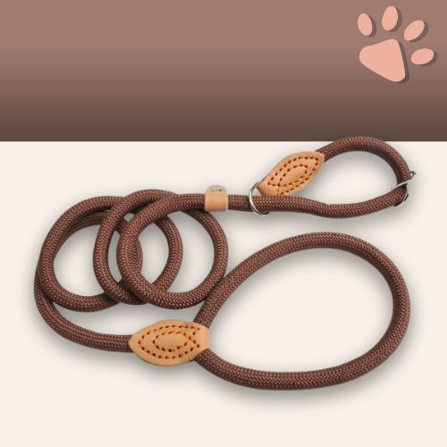 Laisse pour chien avec collier coulissant en nylon pour petits, moyens et grands chiens jujucollarleash la niche de jules marron