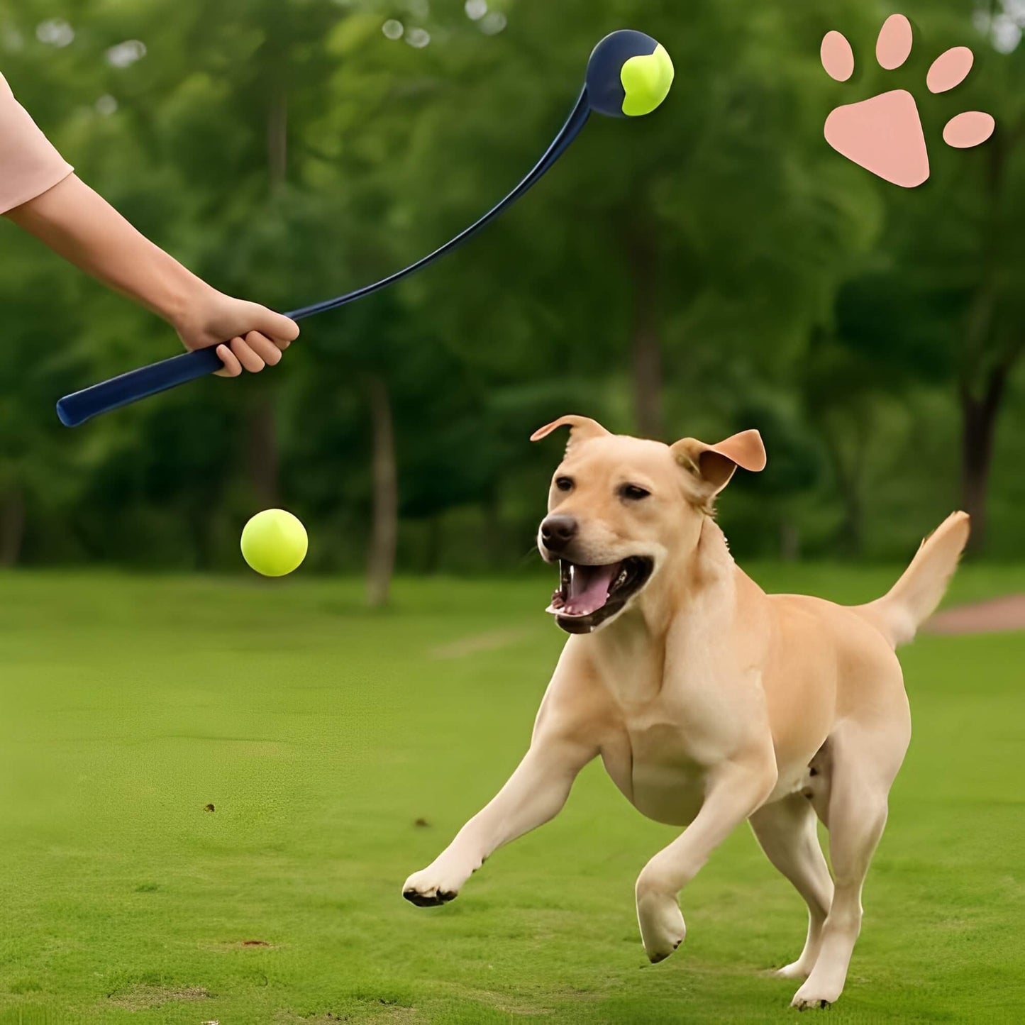 Lanceur de Balle Pour Chien la niche de jules JuJuLaunchGrip chien heureux