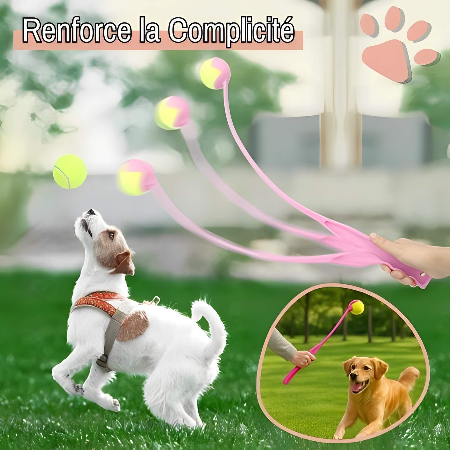 Lanceur de Balle Pour Chien la niche de jules JuJuLaunchGrip renforce la complicité