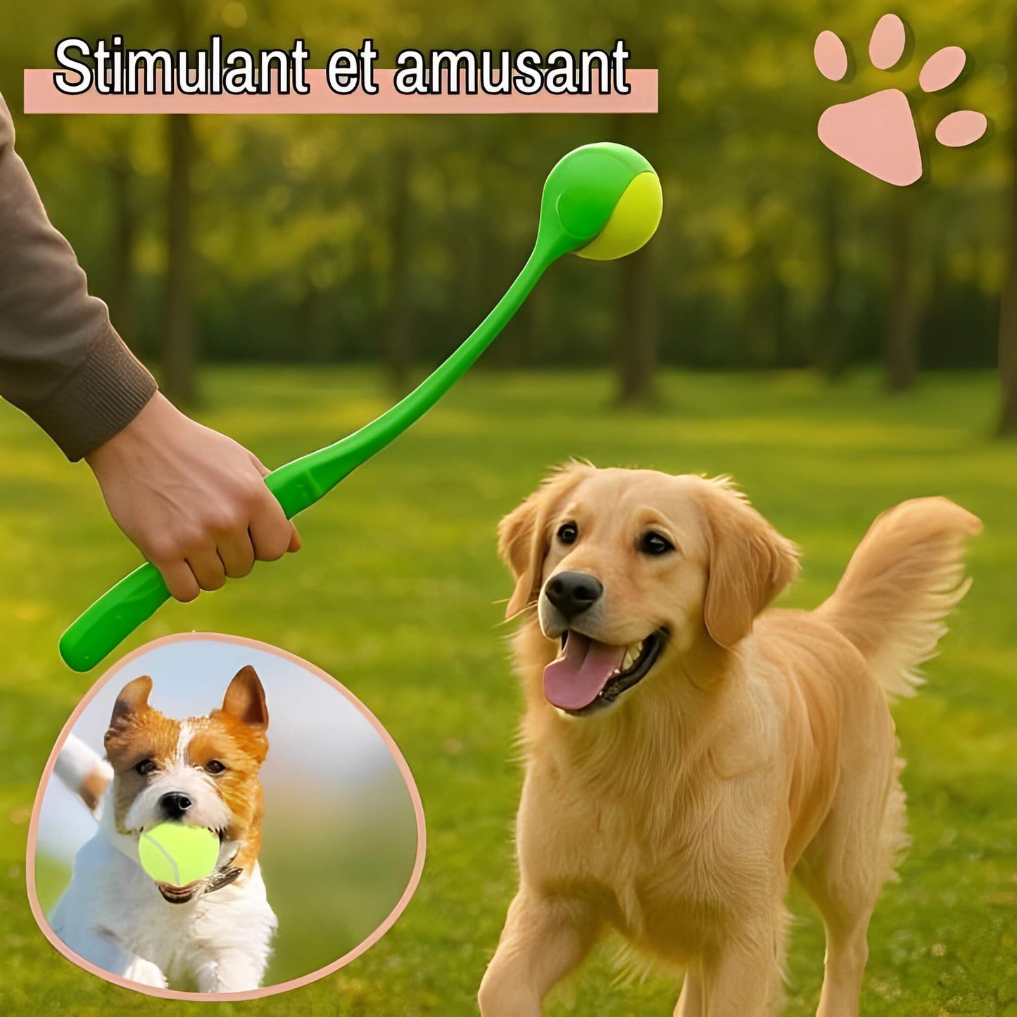 Lanceur de Balle Pour Chien la niche de jules JuJuLaunchGrip stimulant et amusant