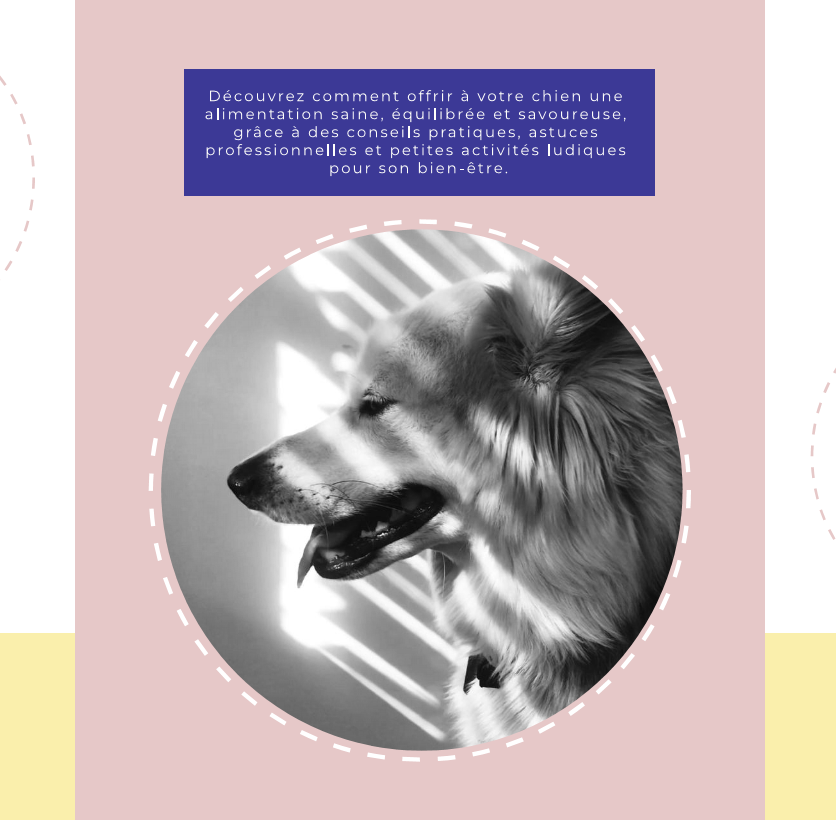 L'assiette idéale pour nourrir son chien avec équilibre et plaisir | Ebook - 10 pages