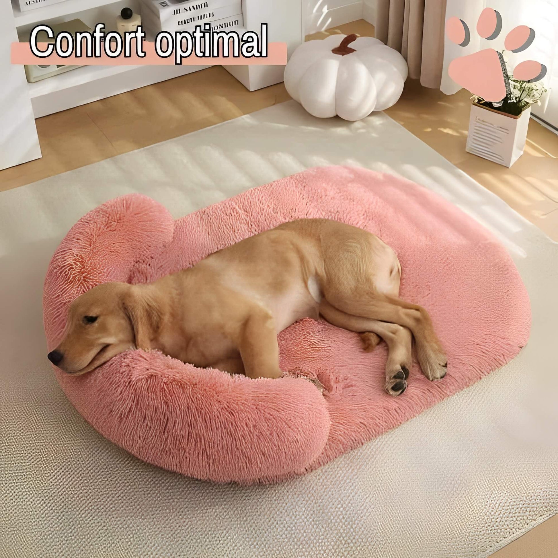 Coussin pour chien JujuRelaxBed confort optimal
