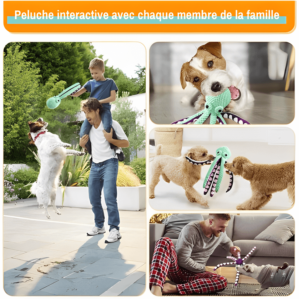 Peluche pour chien jouet pour chien en forme de poulpe jujupoulpe la niche de jules intéractive avec la famille