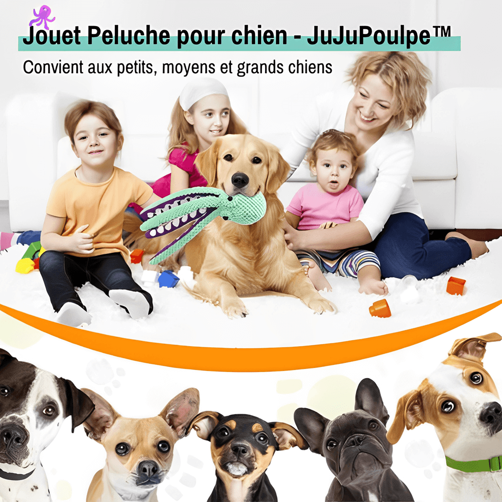 Peluche pour chien jouet pour chien en forme de poulpe jujupoulpe la niche de jules pour tous les chiens petits moyens grands