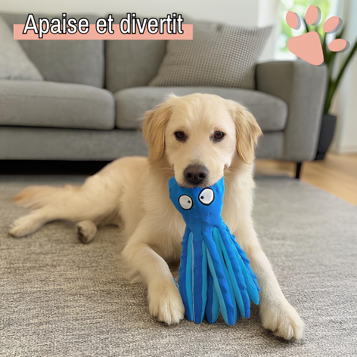 Peluche pour chien pieuvre sonore la niche de jules jujuoctosound jouet qui apaise et divertit
