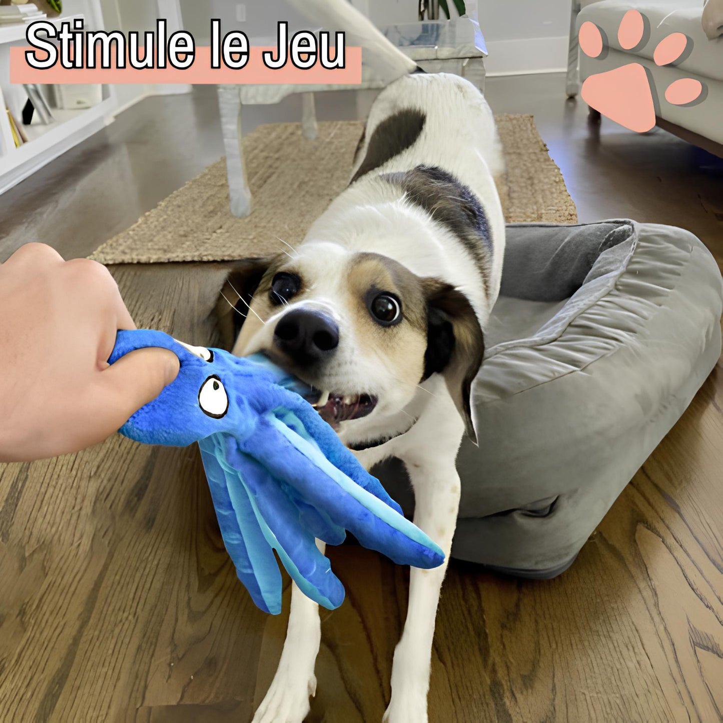 Peluche pour chien pieuvre sonore la niche de jules jujuoctosound stimule le jeu