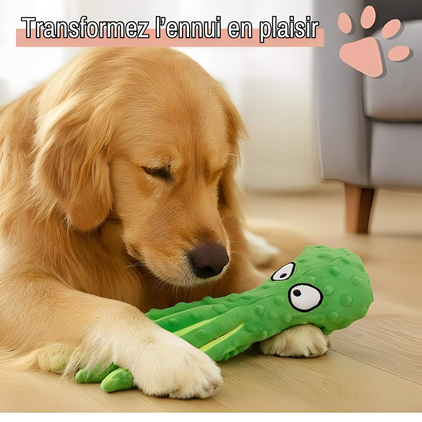 Peluche pour chien pieuvre sonore la niche de jules jujuoctosound transformez l'ennui en plaisir