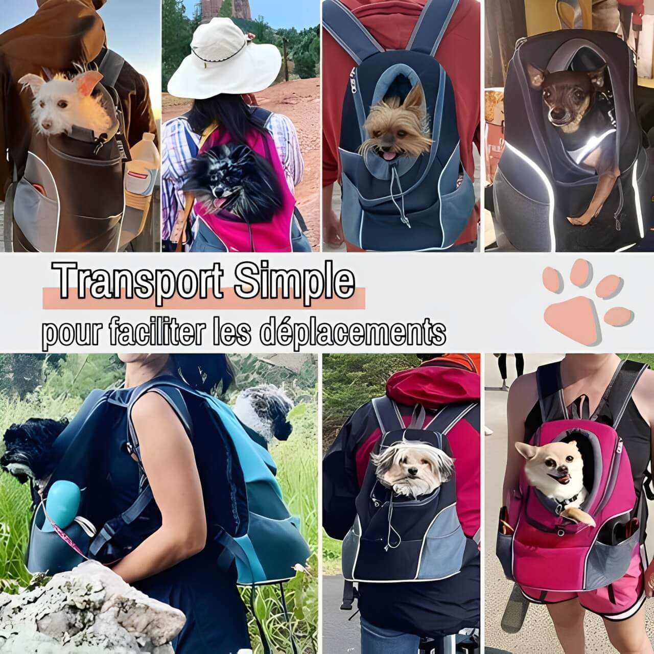 Sac de transport sac a dos pour chien jujubfbag la niche de jules transport simple