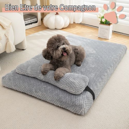 Tapis pour chien JujuRelaxCervical la niche de jules bien etre