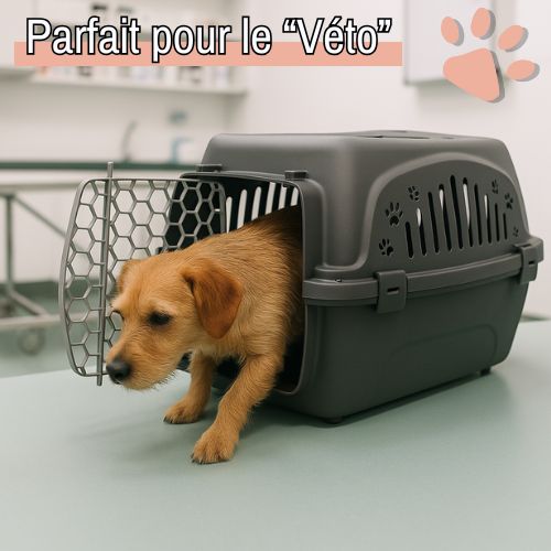Cage de Transport pour Chien (ou Chat) - Approuvée par les Compagnies Aériennes | JuJuTransPet™