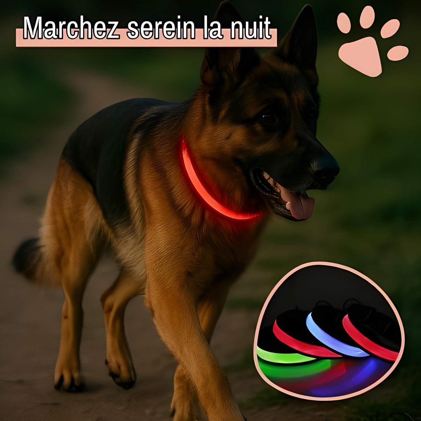 collier lumineux pour chien la niche de jules Jujulumicollar marchez serein la nuit