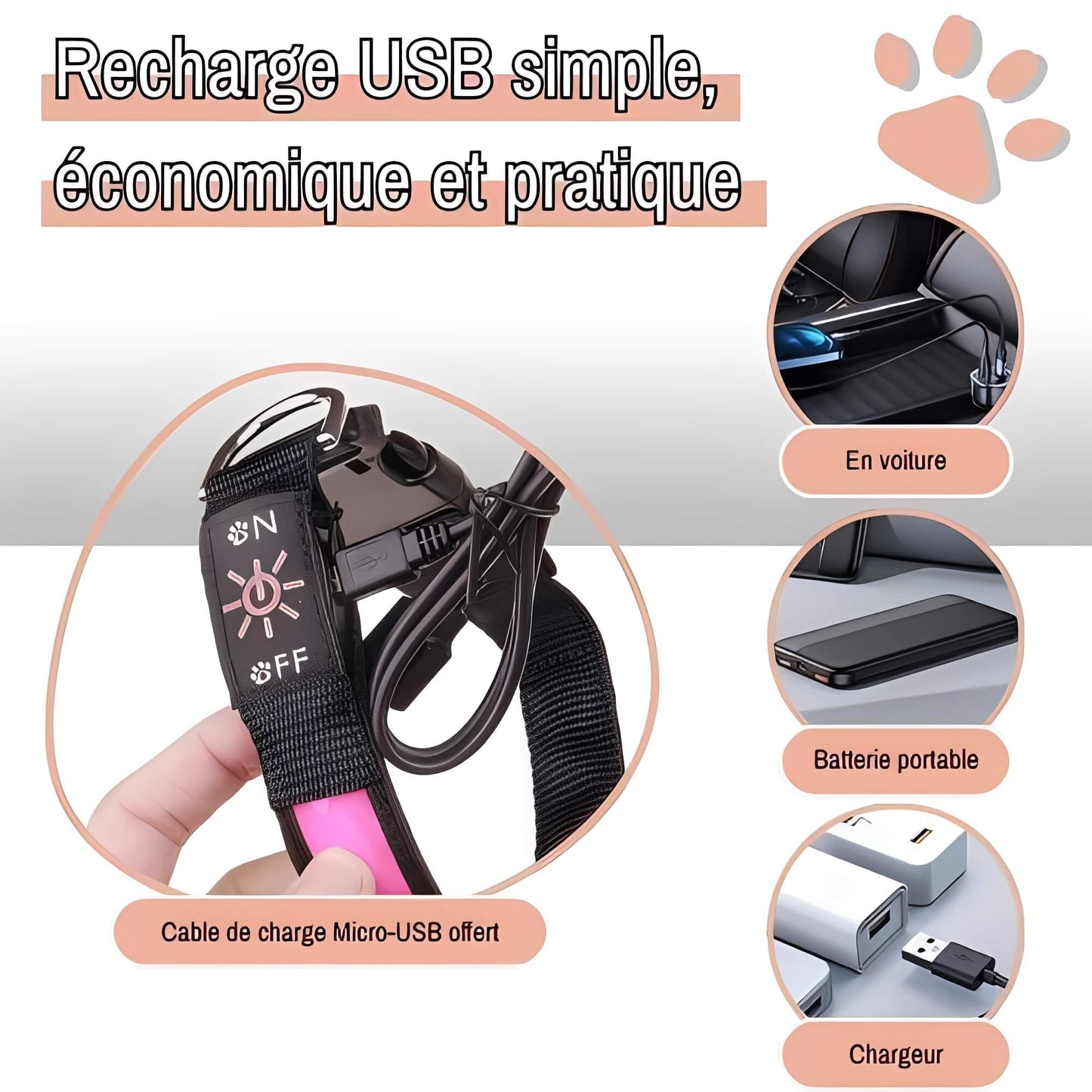 collier lumineux pour chien la niche de jules Jujulumicollar recharge usb simple economique pratique