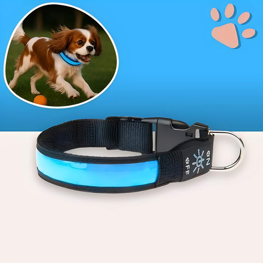 collier lumineux pour chien la niche de jules Jujulumicollar variante bleu
