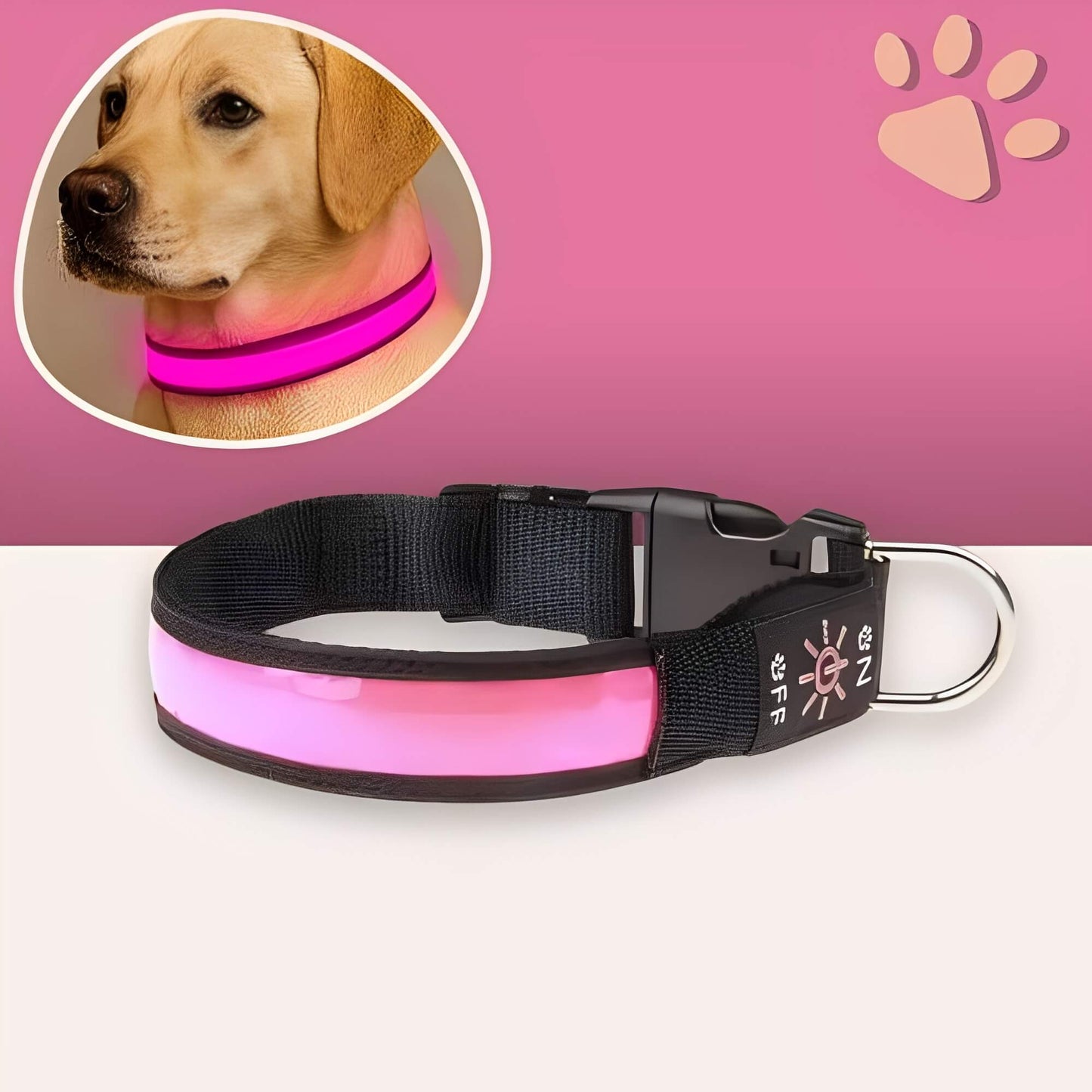 collier lumineux pour chien la niche de jules Jujulumicollar variante rose fuschia