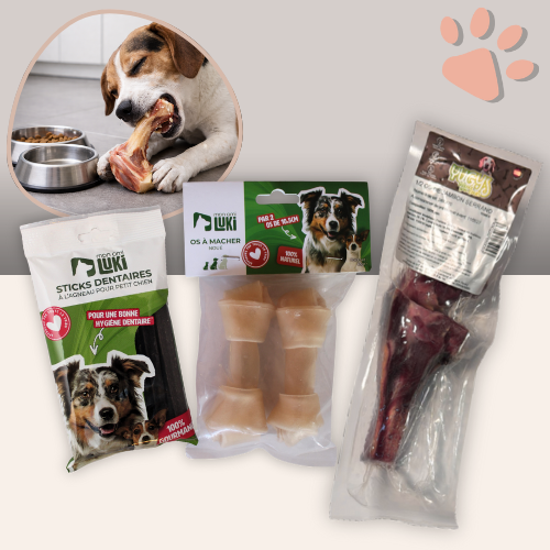 friandise pour chien box bien etre mastication la niche de jules mon ami luki