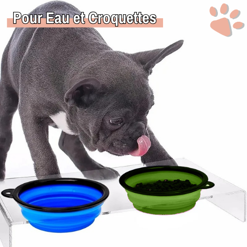 gamelle pliable compact pour chien jujugampl la niche de jules eau et croquettes