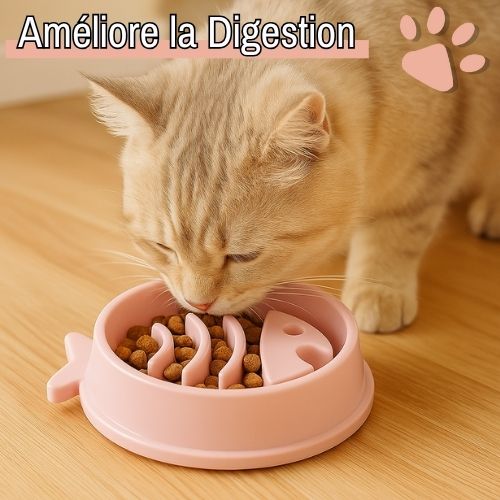 gamelle pour chat chien anti glouton la niche de jules améliore la digestion