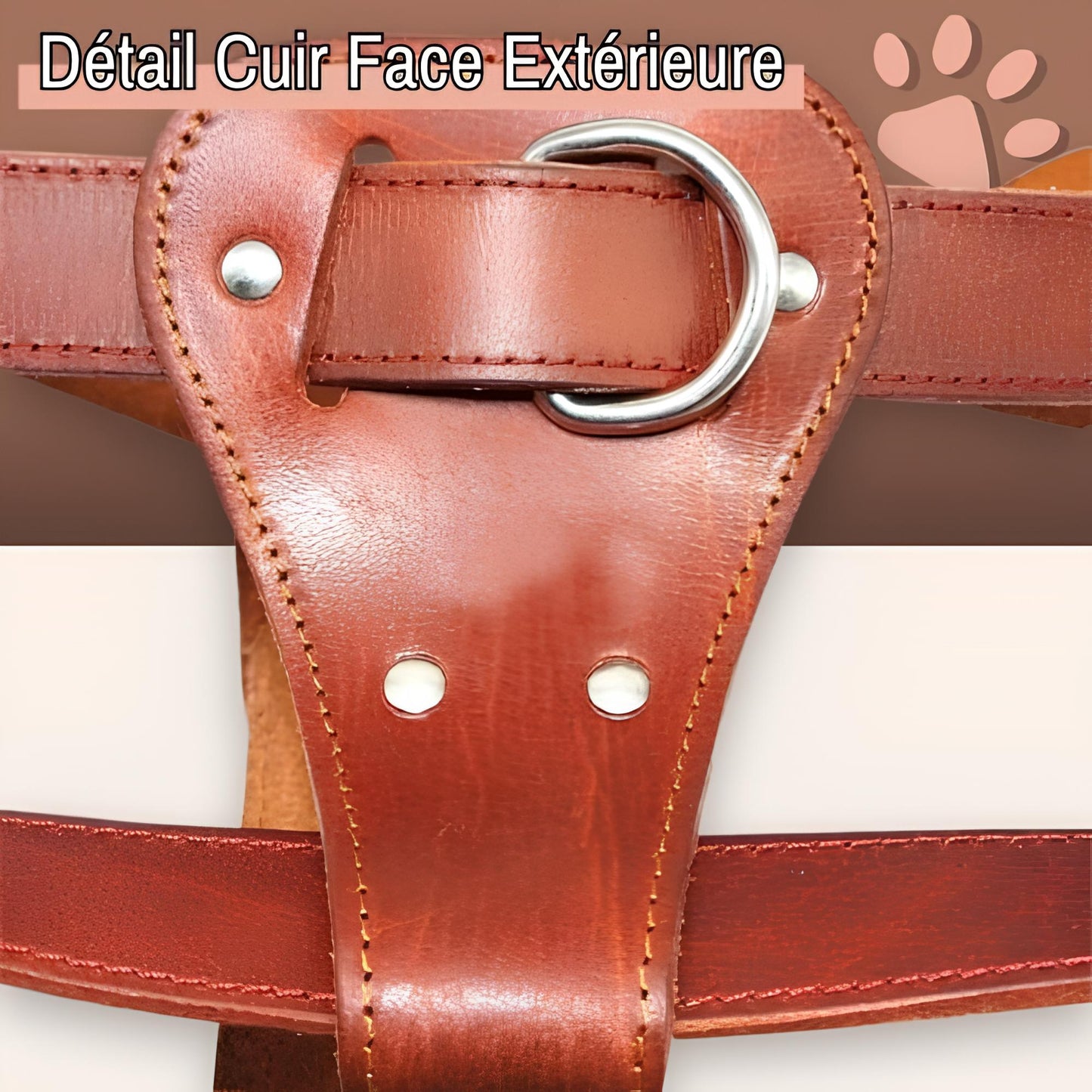 harnais en cuir veritable pour chien la niche de jules jujuluxeharness extérieur