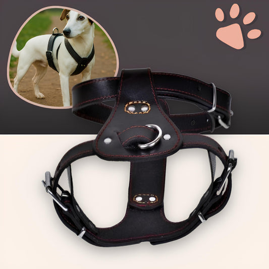 harnais en cuir veritable pour chien la niche de jules jujuluxeharness noir