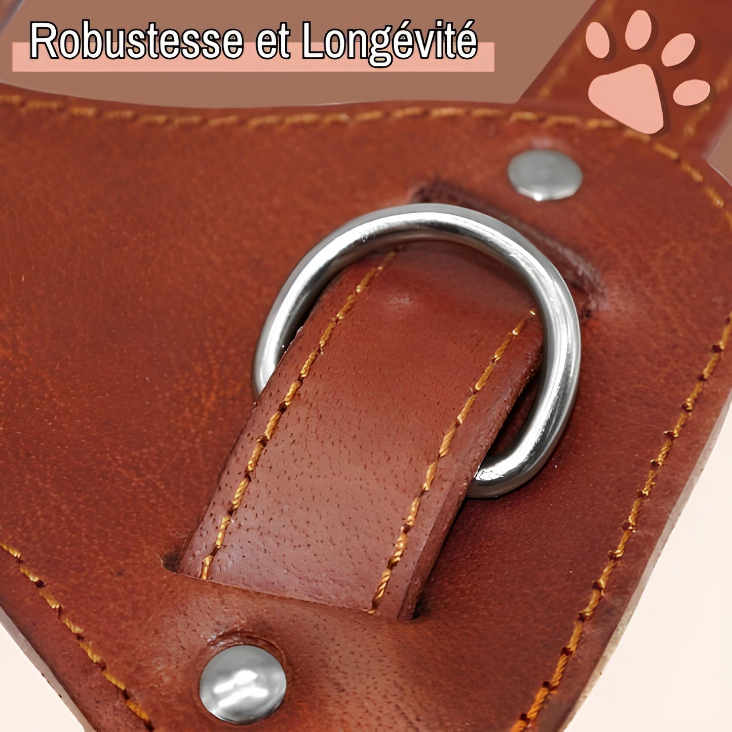 harnais en cuir veritable pour chien la niche de jules jujuluxeharness robuste et durable