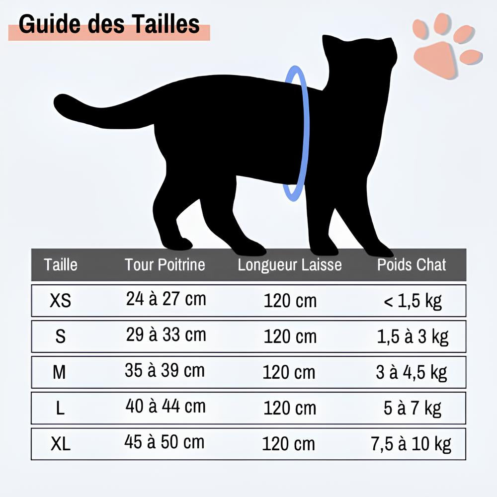 harnais pour chat jujucatharn la niche de jules guide des tailles