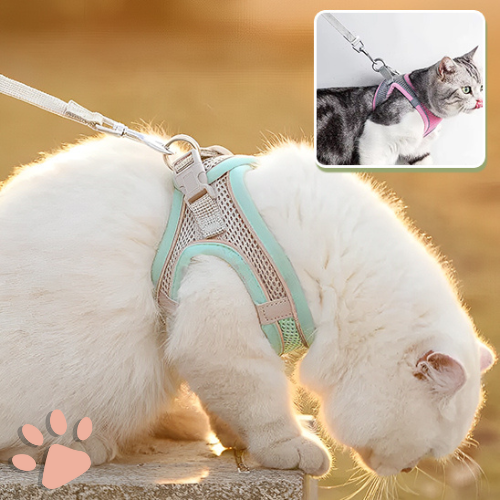 harnais pour chat anti traction SFP jujucatharn2 la niche de jules adapté aux chats