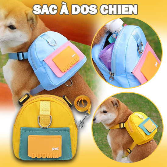 harnais sac à dos pour chien la niche de jules jujubag principale img1