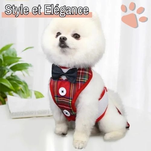 harnais smoking pour chien chat jujusmoking la niche de jules style élégance