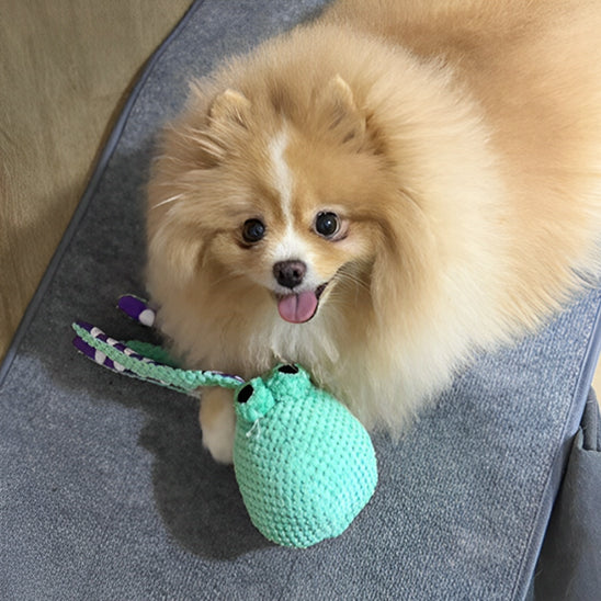 jouet pour chien peluche poulpe résistant la niche de jules jujupoulpe pour petit chien et chiot