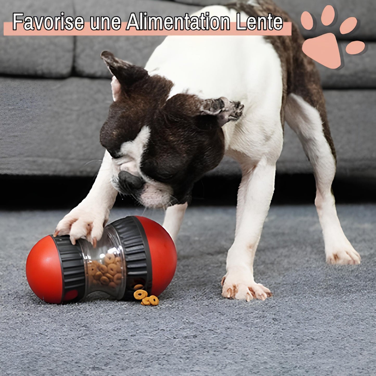 jouet distributeur de croquette pour chien jujusmartfeed la niche de jules alimentation lente