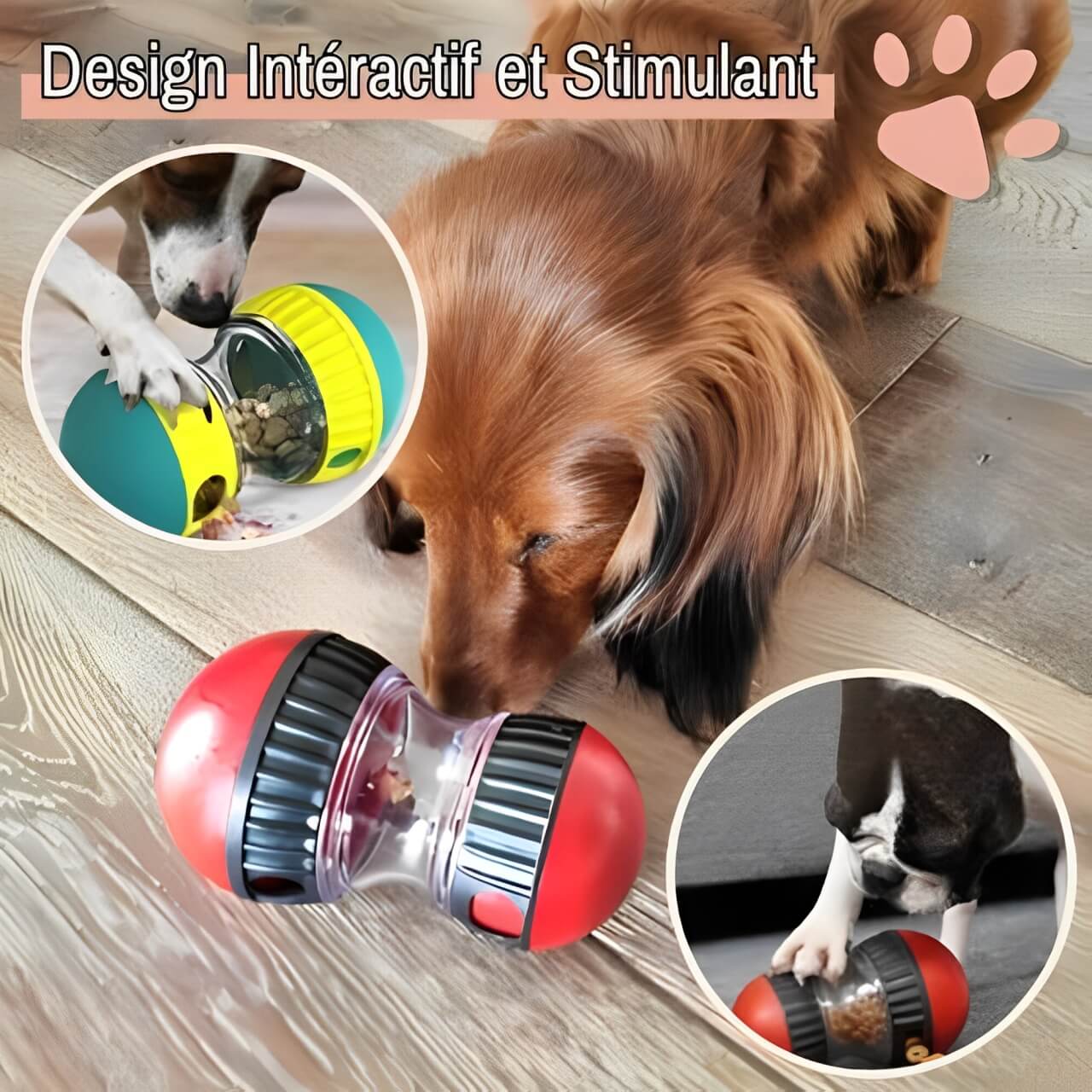 jouet distributeur de croquette pour chien jujusmartfeed la niche de jules intéractif stimulant