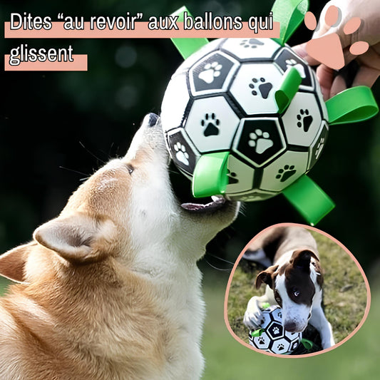 jouet pour chien ballon de foot la niche de jules JujuGripball ballon antidérapant