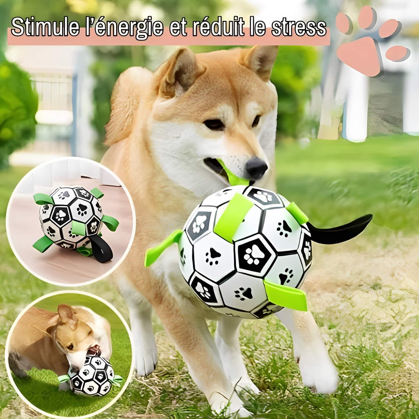 jouet pour chien ballon de
foot la niche de jules JujuGripball stimule l'énergie et réduit le stress