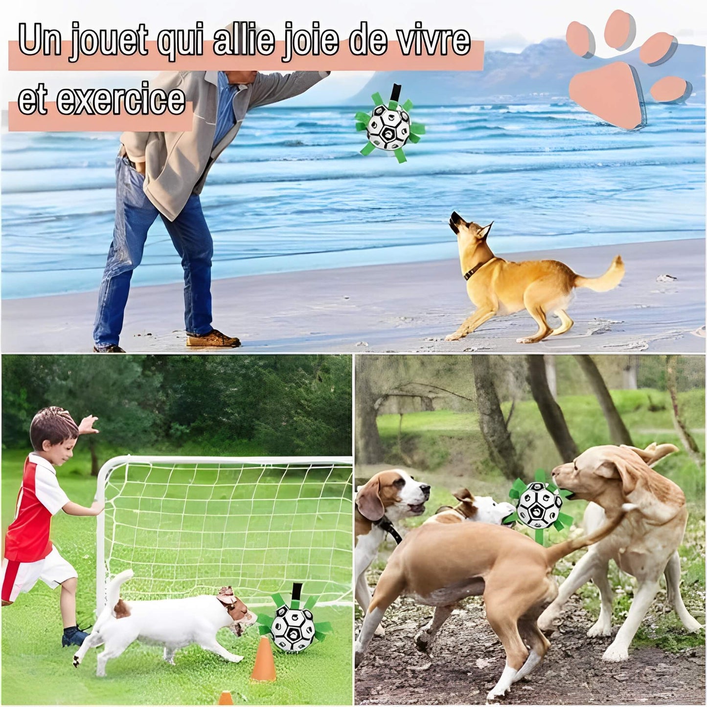 jouet pour chien ballon de
foot la niche de jules JujuGripball un jouet qui allie joie de vivre et exercice
