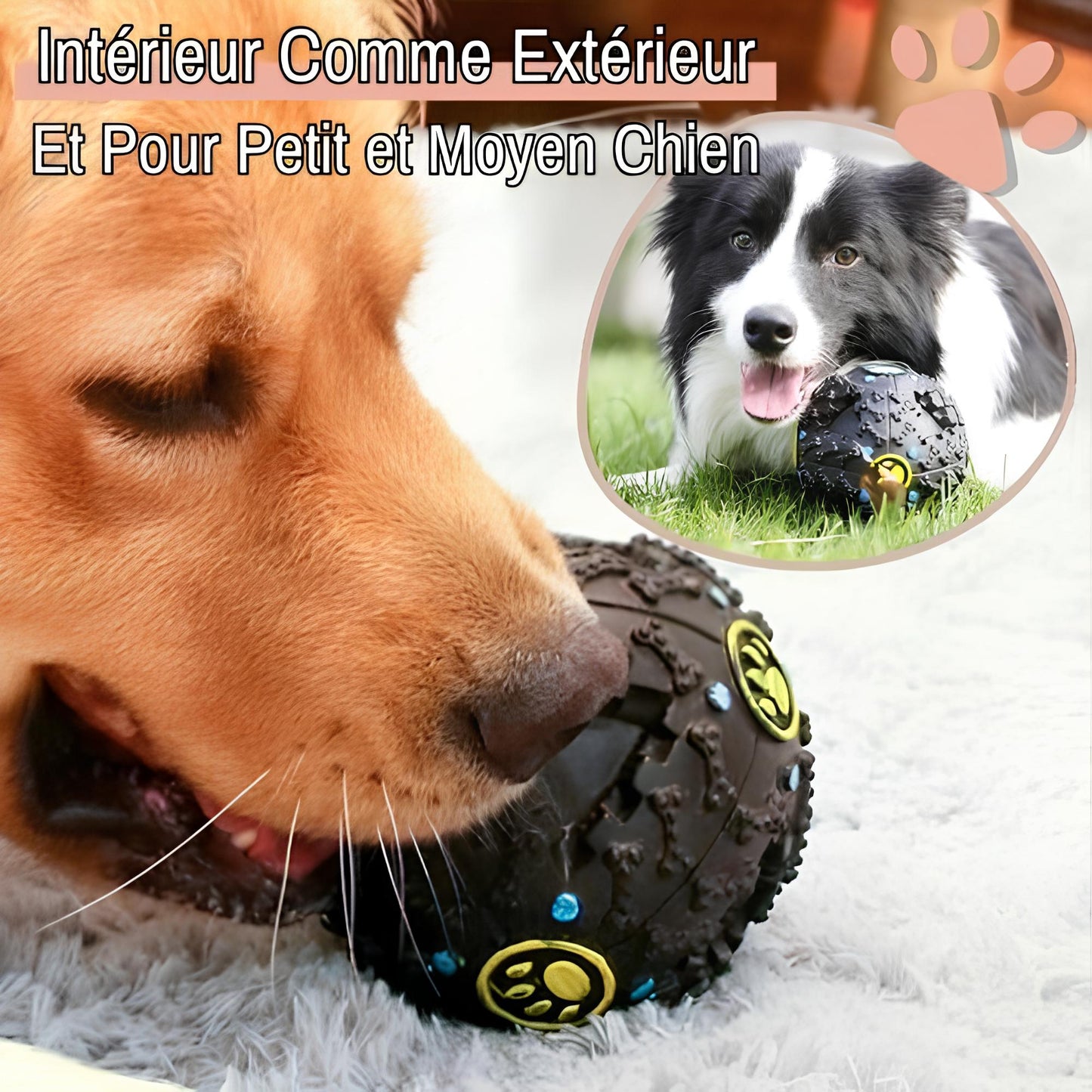 jouet pour chien boule distributeur croquette la niche de jules intérieur extérieur petit moyen chien