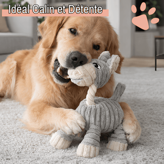 jouet pour chien en peluche ane hunter JuJuAneHunter la niche de jules gris calin détente