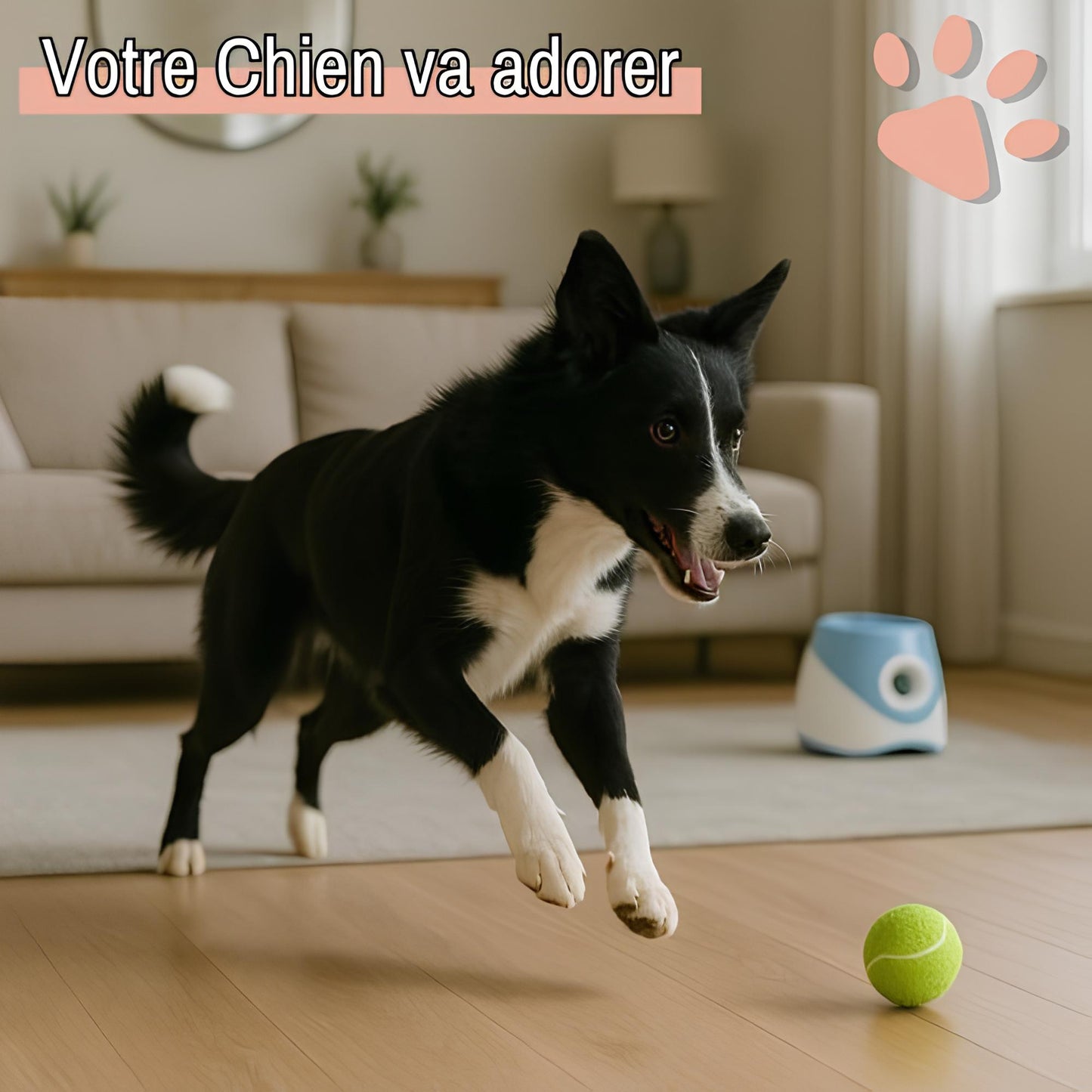 jouet pour chien lanceur de balle jujulaunchball la niche de jules amusant