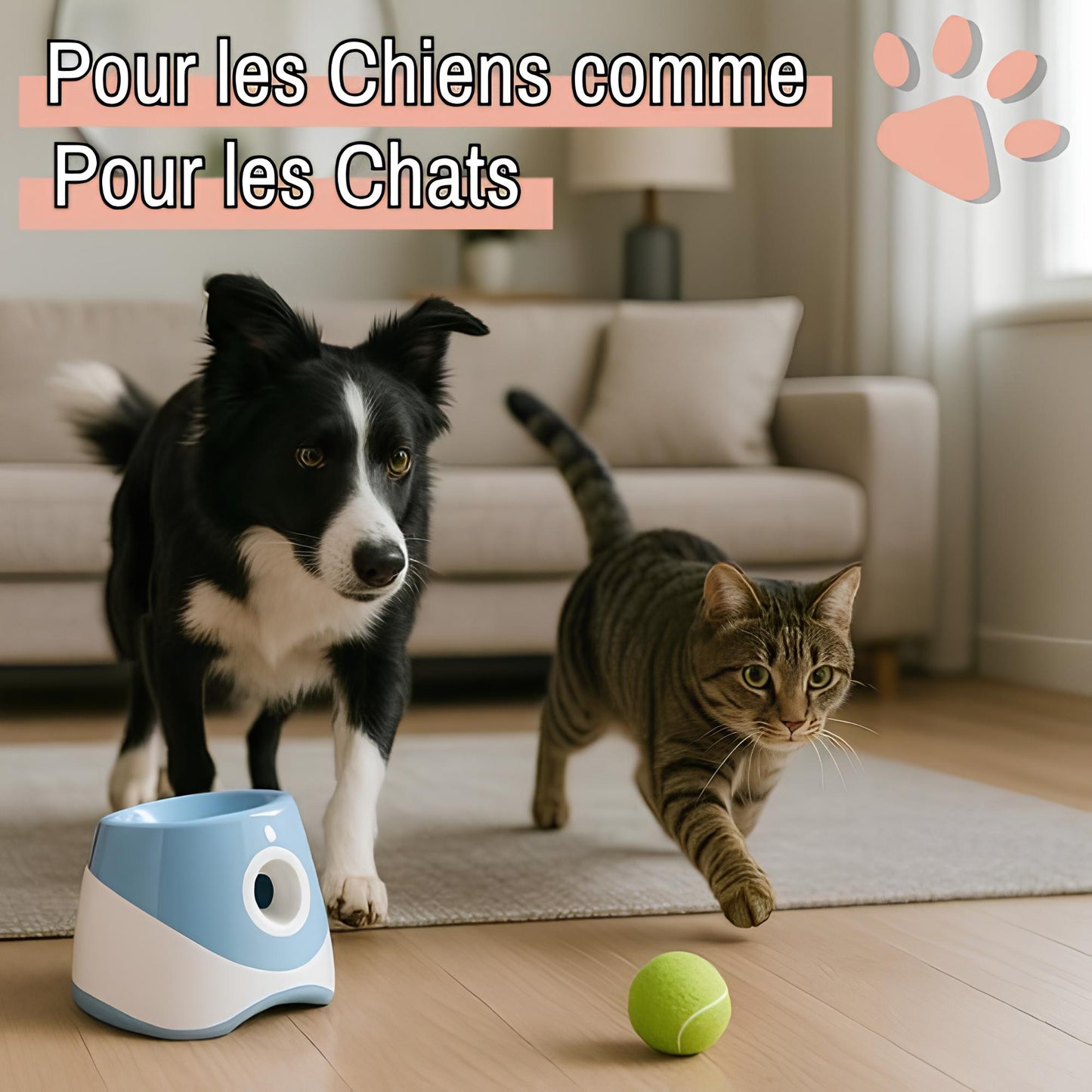 jouet pour chien lanceur de balle jujulaunchball la niche de jules chien et chat