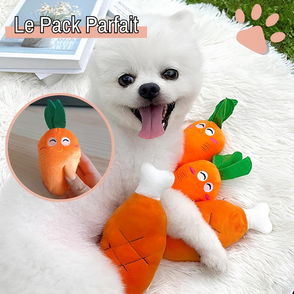 jouet pour chien peluche carotte os de poulet la niche de jules pack parfait