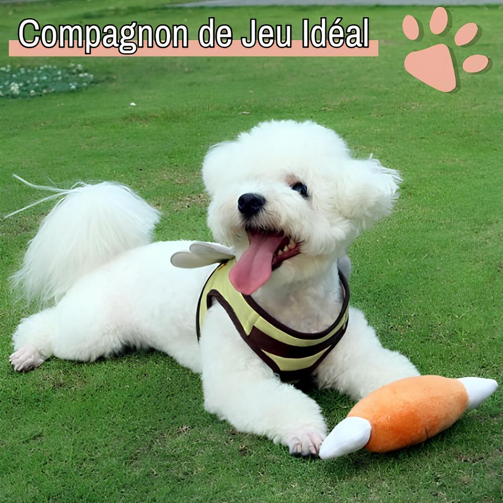 jouet pour chien pliable os de poulet jujuchickenbone la niche de jules compagnon idéal