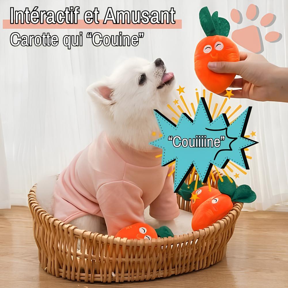 jouet pour chien pliable peluche carot jujucarotplay la niche de jules interactif