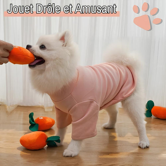 jouet pour chien pliable peluche carot jujucarotplay la niche de jules drole amusant