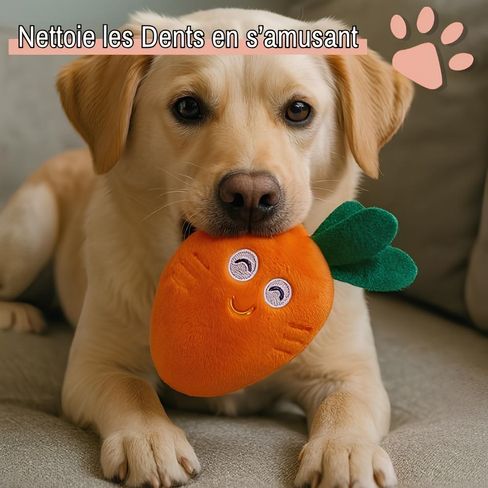 jouet pour chien pliable peluche carot jujucarotplay la niche de jules nettoie les dents