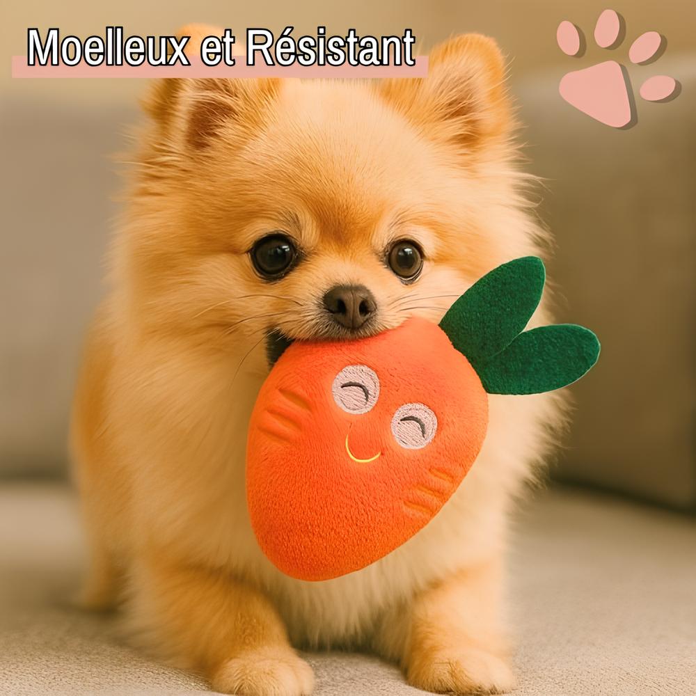 jouet pour chien pliable peluche carot jujucarotplay la niche de jules resistant