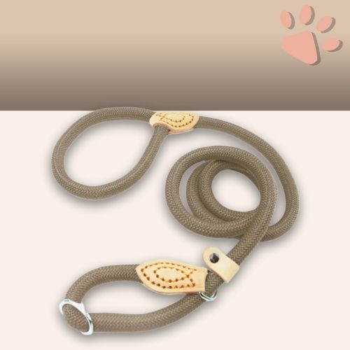Laisse pour chien avec collier coulissant en nylon pour petits, moyens et grands chiens jujucollarleash la niche de jules beige