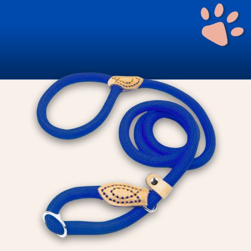 Laisse pour chien avec collier coulissant en nylon pour petits, moyens et grands chiens jujucollarleash la niche de jules bleu