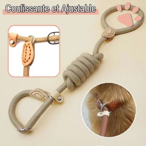 Laisse pour chien avec collier coulissant en nylon pour petits, moyens et grands chiens jujucollarleash la niche de jules ajustable