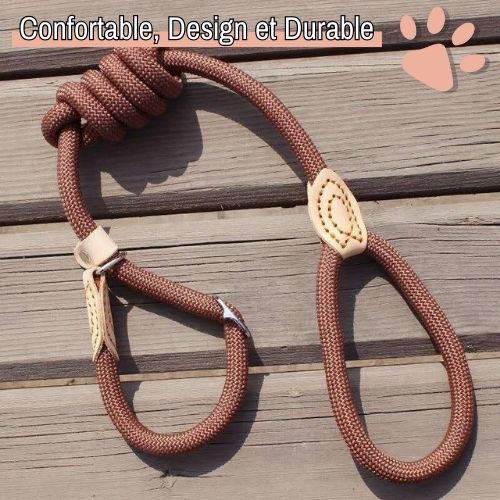 Laisse pour chien avec collier coulissant en nylon pour petits, moyens et grands chiens jujucollarleash la niche de jules design